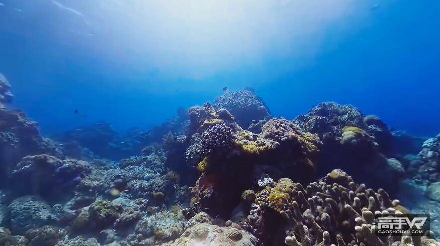 海底世界：360°台湾绿岛潜水全景视频