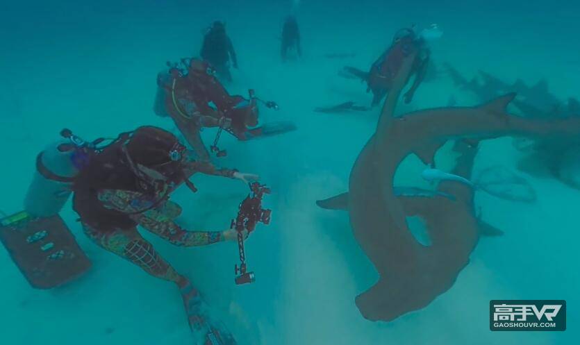 海底世界：360°深海潜水全景视频